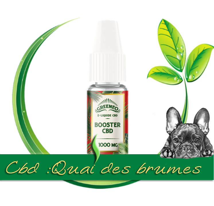 BOOSTER CBD 10ML 1000MG