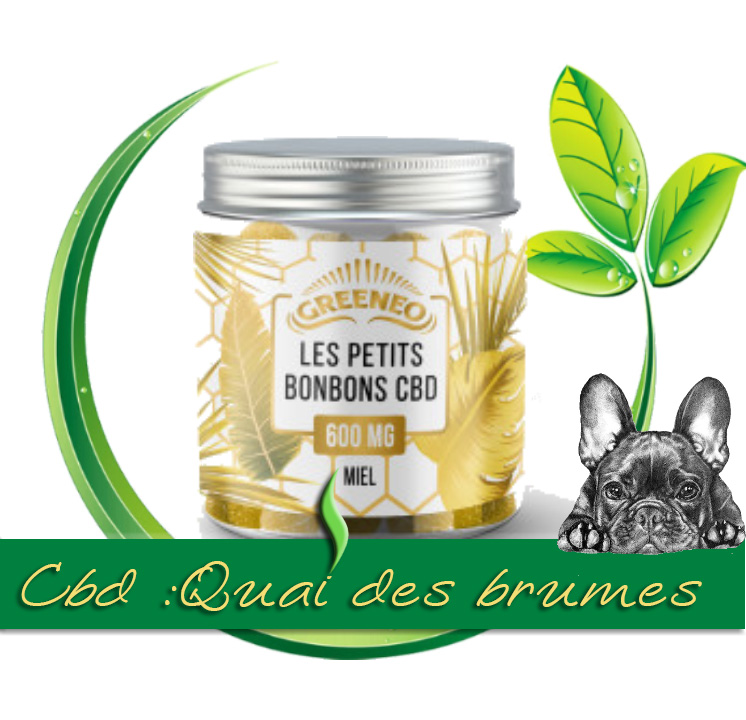 LES PETITS BONBONS CBD 600MG (MENTHE)