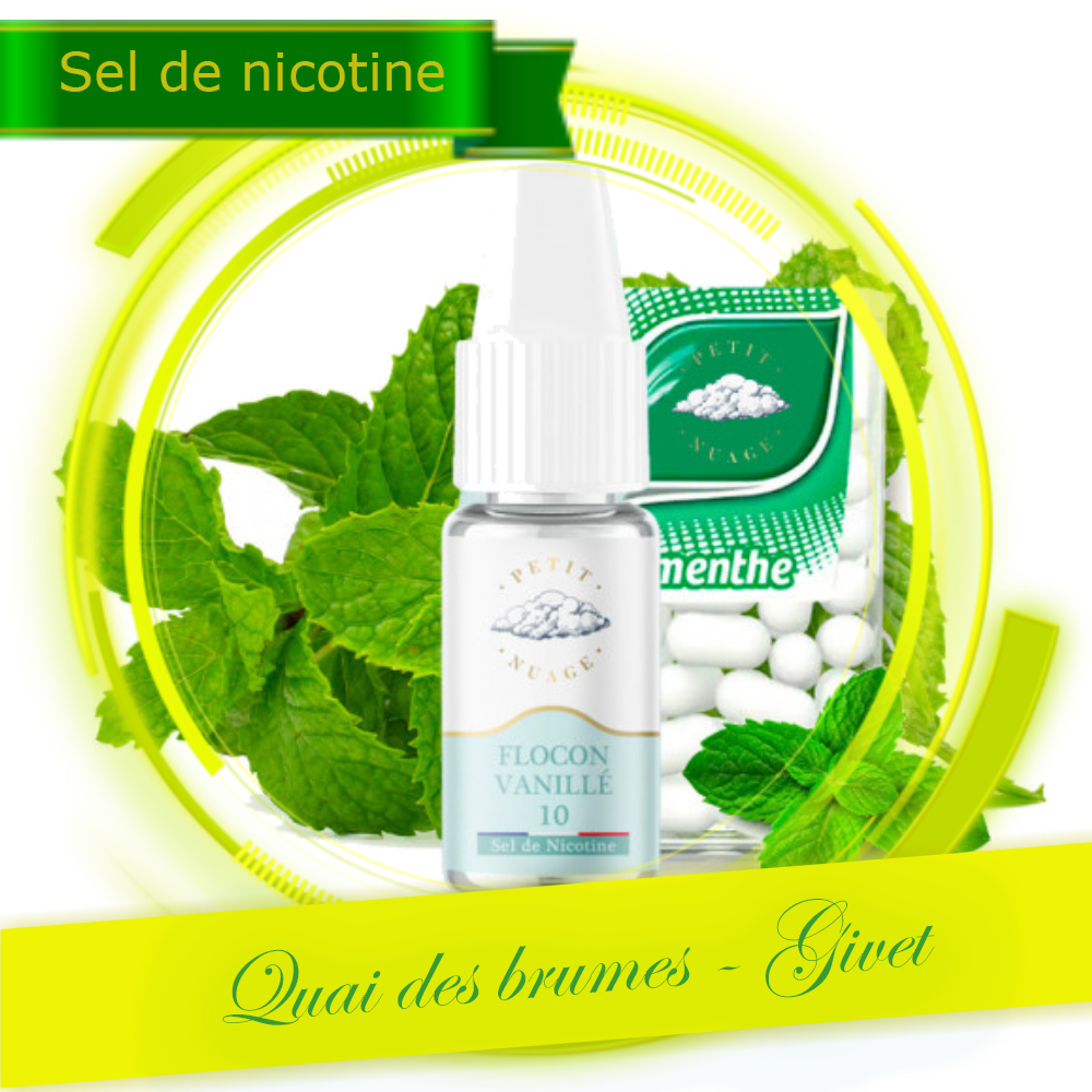 FLOCON VANILLE (SEL NICO) (10MG)