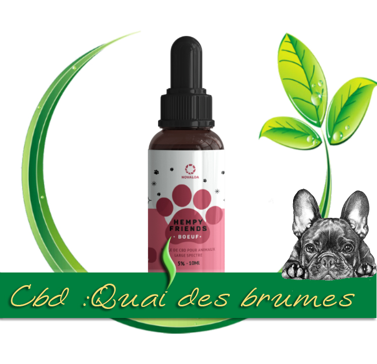 HUILE CBD ANIMAUX 5% BOEUF