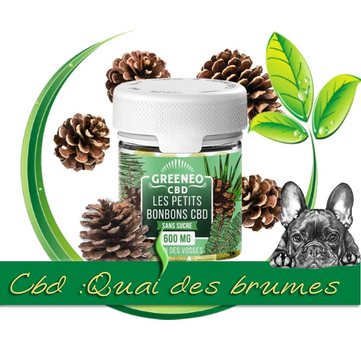 LES PETITS BONBONS SANS SUCRE 600MG (SAPIN DES VOSGES)