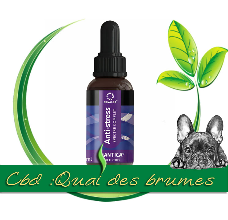 [NOVALOA] HUILE CBD ANTI STRESS 20%