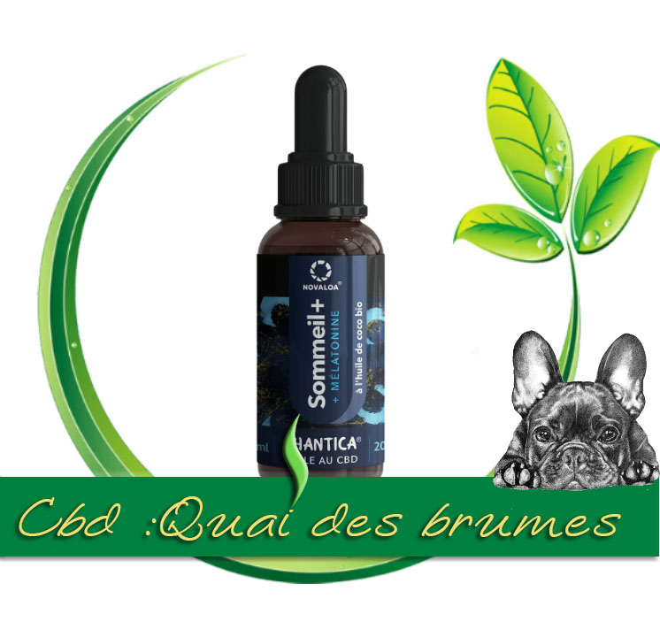 HUILE CBD SOMMEIL + 20%