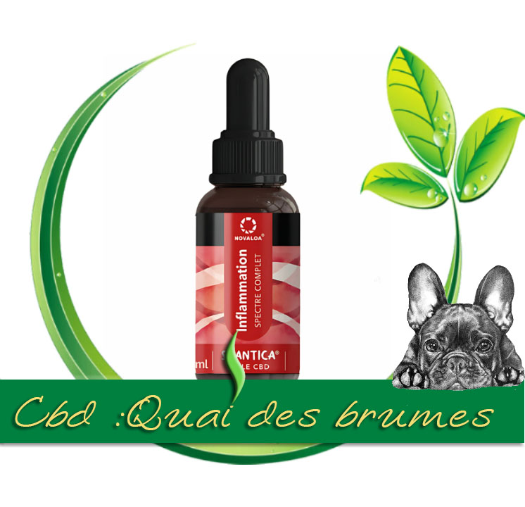 HUILE CBD INFLAMATION 10%