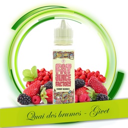 CHUBBY BERRIES 50ML (PACK 3MG)