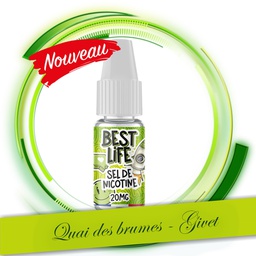 BOOSTER SEL DE NICOTINE 20MG BEST LIFE